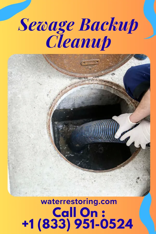 Sewage Backup Cleanup in Erin, TN